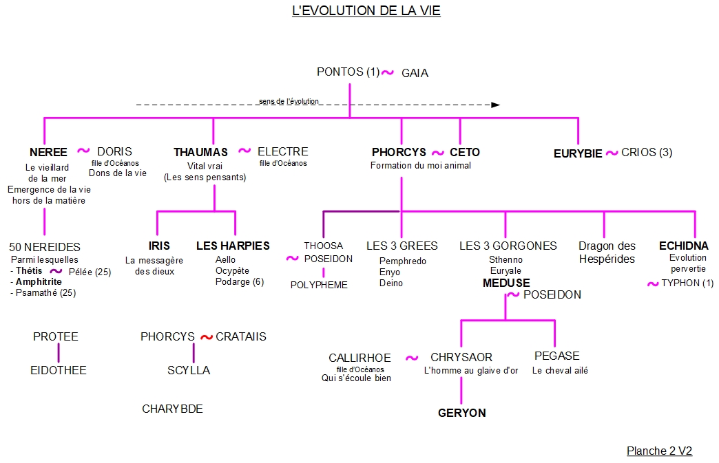 Iris Les Harpies Et La Gorgone M Duse Arbre G N Alogique